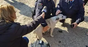 Galerie foto - poza 3