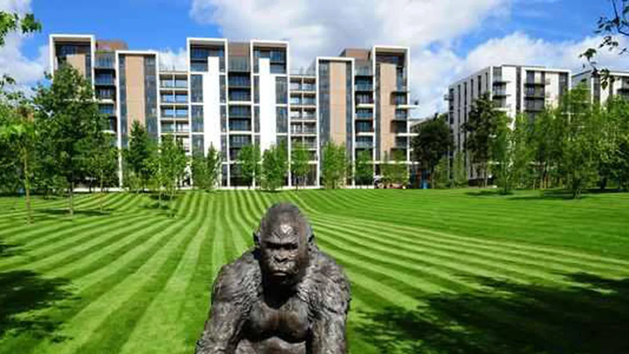 Olimpicii au conditii de lux la Londra!Uite cum arata camerele din complexul de 1,1 miliarde de lire sterline unde vor dormi gimnastii si canotorii romani!