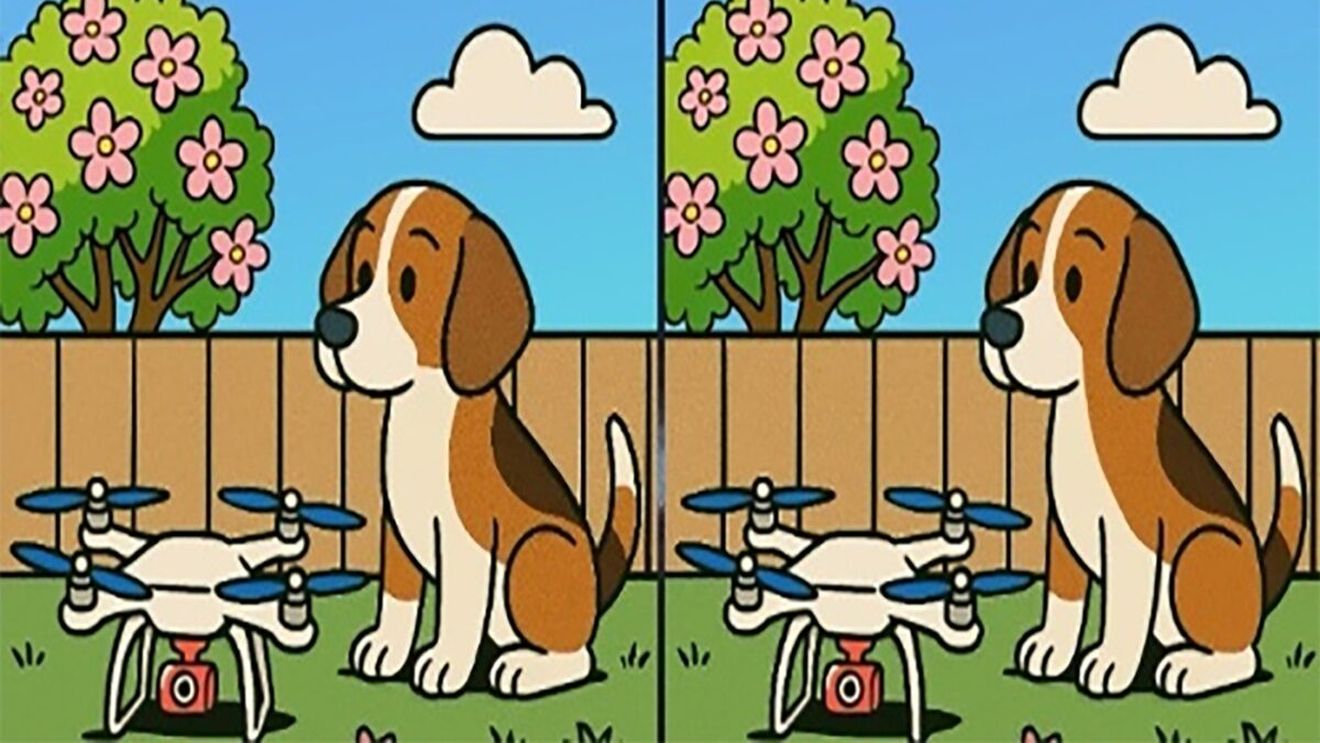 Test de perspicacitate | Găsiți toate cele 3 diferențe în maximum 27 de secunde!