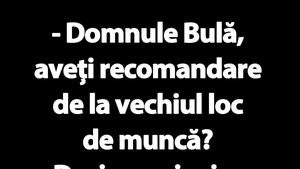 BANC | "Domnule Bulă, aveți recomandare de la vechiul loc de muncă?"
