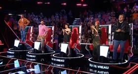 Galerie foto - poza 3