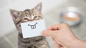 Bancul zilei | Jane își ia țeapa vieții