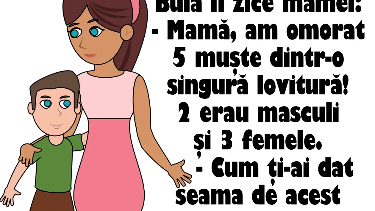 BANC | Bulă îi zice mamei: Am omorat 5 muşte dintr-o singură lovitură! 2 erau masculi şi 3 femele