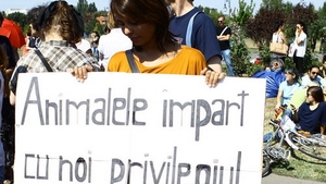 Andreea Popescu, Carmen Tanase si Simona Trasca au demonstrat pentru drepturile cainilor vagabonzi in fata Parlamentului