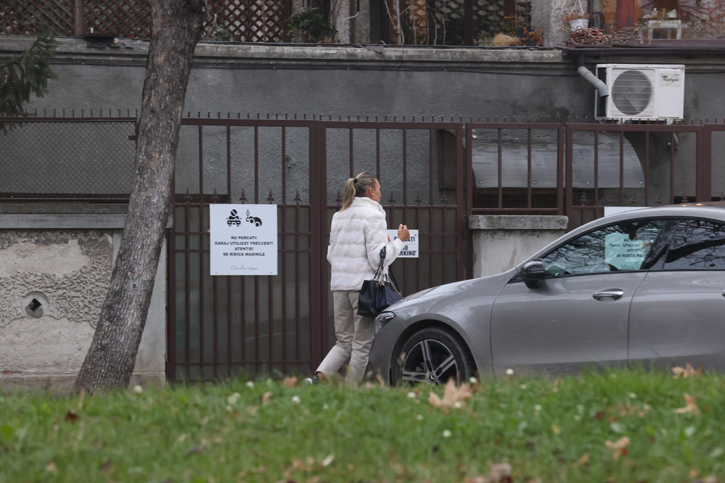 Irina Tănase l-ar vrea  înapoi pe Liviu Dragnea