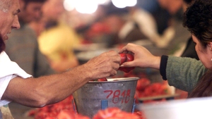 Criza E.coli care a speriat România: isteria castraveților de acum 15 ani, când nimeni nu mai îndrăznea să mănânce legume crude