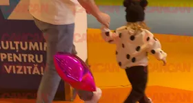 Galerie foto - poza 1