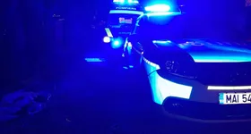 Galerie foto - poza 4