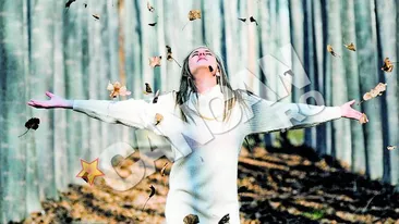 Soarele va rasari si pe strada ta! Cele 7 secrete ale fericirii