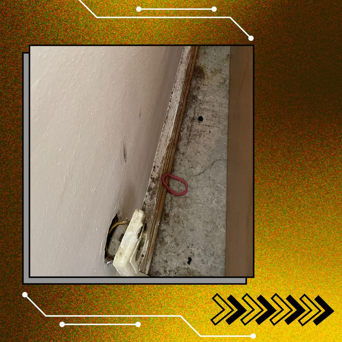 Imagini de coșmar surprinse în mai multe cămine studențești din București. Camere pline de gândaci și mizerie, cu pereți și saltele mucegăite