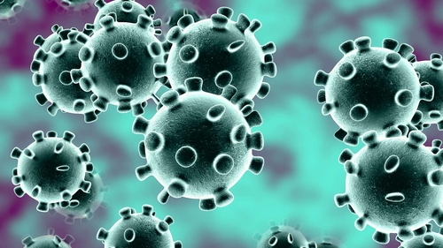 Ce au găsit medicii în casa bărbatului de 20 de ani din Gorj infectat cu coronavirus