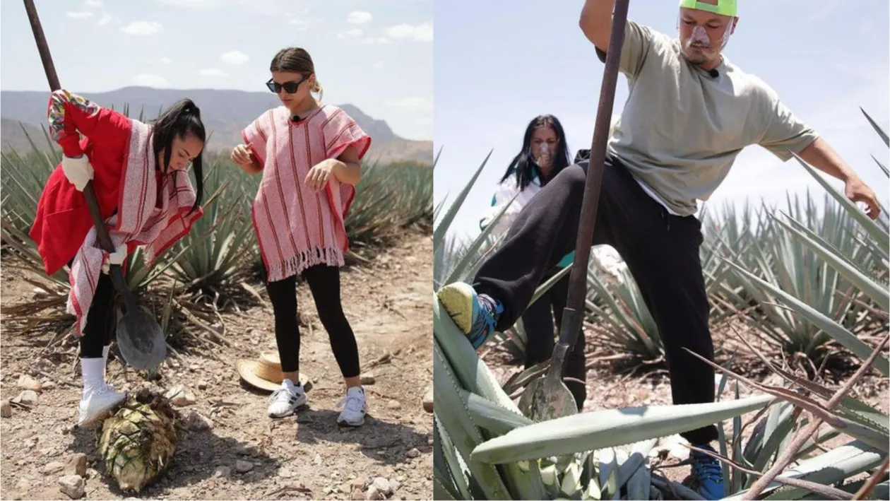 Cine câștigă a doua amuletă și cursa pentru imunitate la America Express în ediția de azi, 17 ianuarie 2023