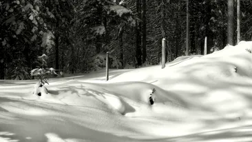 Prognoza meteo 26 decembrie 2025. Iarna pune stăpânire pe mai multe regiuni din România, în a doua zi de Crăciun