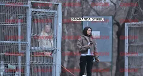 Galerie foto - poza 4