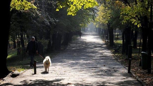 METEO 13 NOIEMBRIE! Cum va fi vremea in Bucuresti si in alte zone din tara!