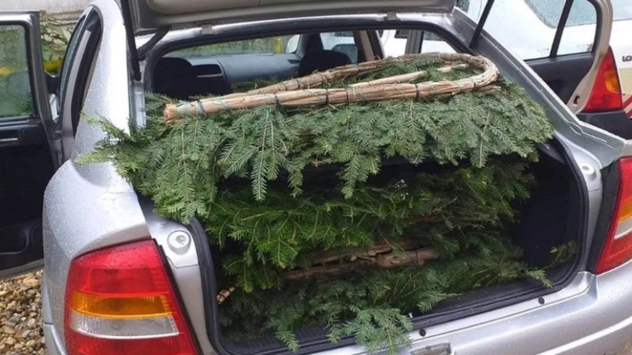 Hoți prinși cu 20 de coroane de flori, furate din Cimitirul Ungureni, din Craiova