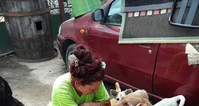 Galerie foto - poza 1