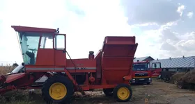 Galerie foto - poza 3