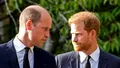 E posibilă o împăcare între William și Harry? Ce spun experții regali