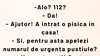 BANCUL ZILEI | „Ajutor! A intrat pisica în casă”