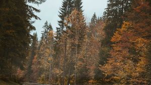 Prognoza meteo, azi, 27 ianuarie 2026. Ploi, nori și temperaturi moderate pentru final de ianuarie