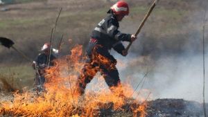 Incendiu de vegetație uscată, întins pe trei hectare, în Prahova