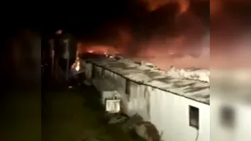 Sute de animale au murit într-un incendiu violent izbucnit la un adăpost din Buzău. VIDEO
