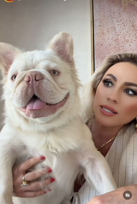 Rocsana Marcu și-a luat câine de 20.000 de mii de euro. Cum arată Brulee, puiuț din rasa Fluffy Frenchie