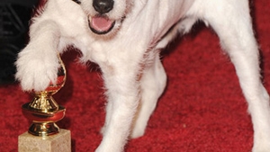Cainele Uggie din filmul "The Artist" isi "scrie" memoriile