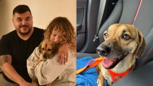 Cum a supraviețuit Patrocle, câinele căutat de toată România, în cele 2 luni de când dispăruse. Ireal ce s-a întâmplat cu recompensa promisă, de 6.000 de lei