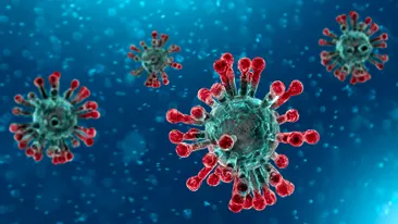 Coronavirus România 26 august. 1.256 de noi infectări în ultimele 24 de ore