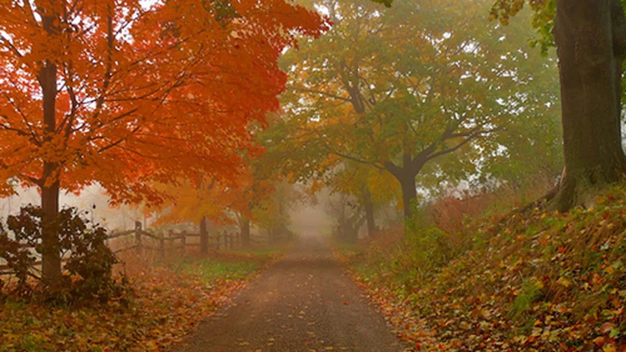 E ultima zi de vara! Temperaturile vor fi si cu 12 grade Celsius mai scazute! Vezi cum se schimba vremea de maine!