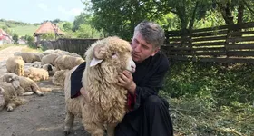 Galerie foto - poza 4