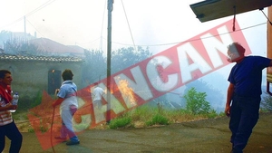 Incendiile din Grecia au facut 51 de victime