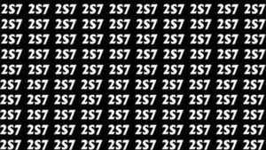 Test de perspicacitate | Găsiți numărul 257 în cel mult 5 secunde!