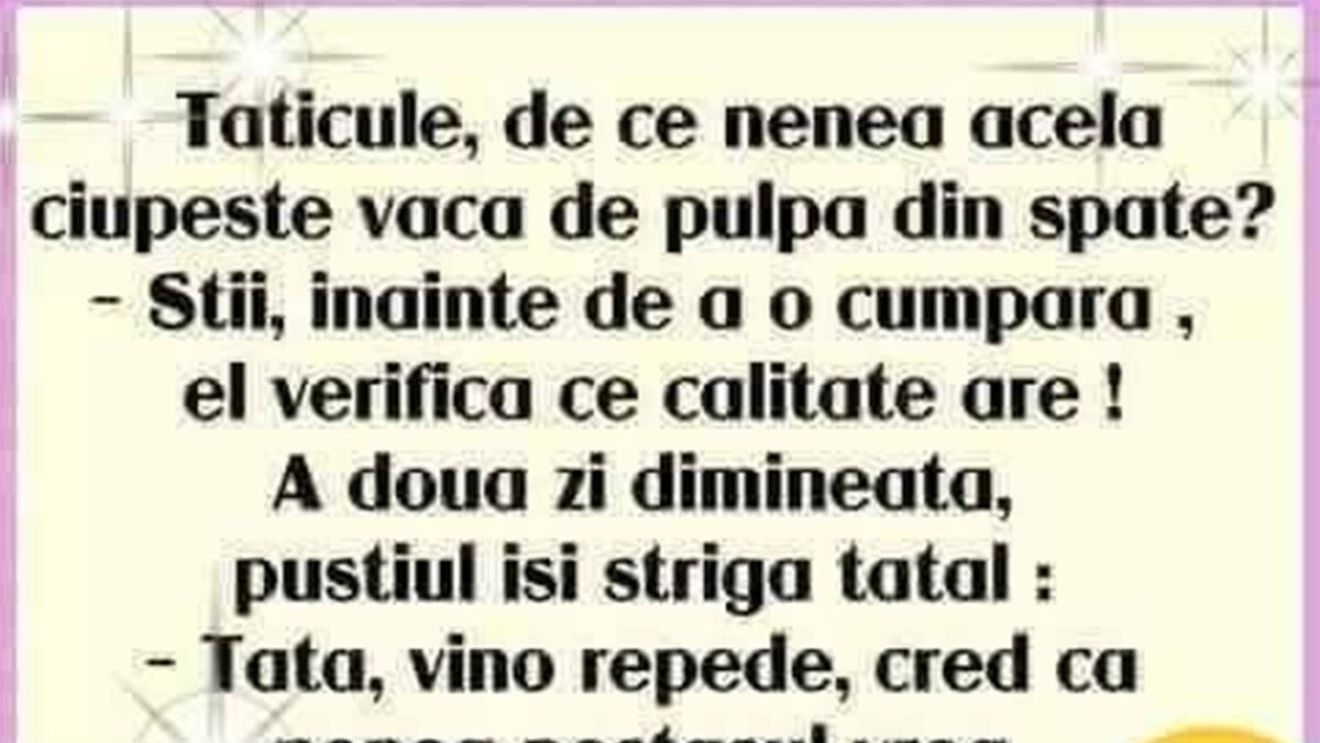 BANCUL ZILEI | De ce se ciupesc vacile de pulpa din spate?
