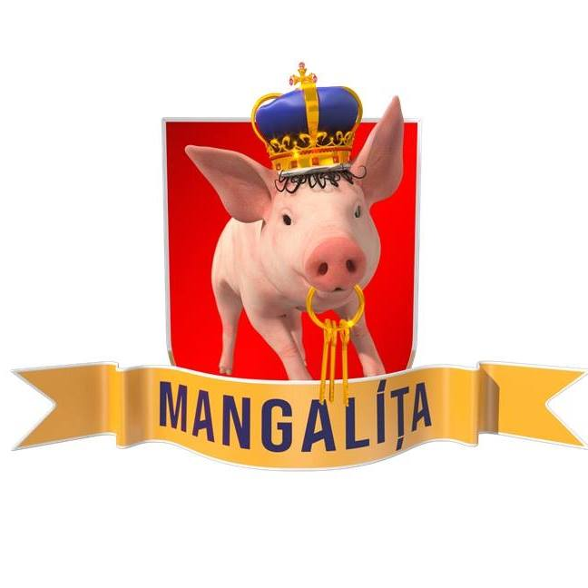 Nu e glumă! Au cerut urgent să schimbe numele serialului Mangalița de pe Antena 1