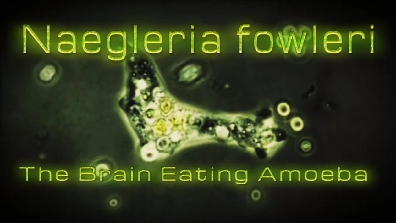 ”Amiba devoratoare de creier” a ucis un bărbat de 29 de ani în SUA. ”Cel mai rău scenariu... ”