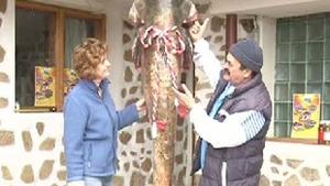 Un pescar amator din judetul Mehedinti a prins un somn de 105 kilograme!