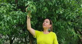 Galerie foto - poza 1