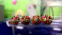Loto 6 din 49. Rezultatele extragerii Loto 6/49 de duminică, 19 ianuarie 2020