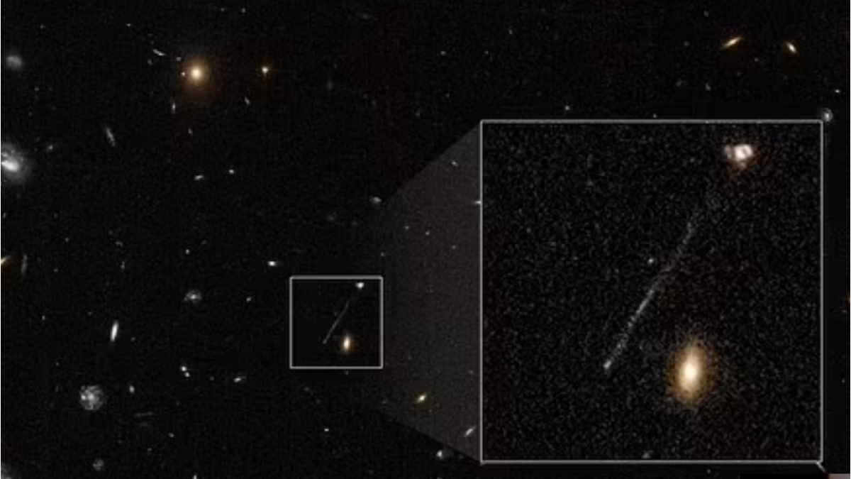Cea mai mare amenințare pentru noi vine din Univers. Este un monstru în libertate, anunță NASA