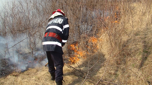 Circulaţie îngreunată pe Autostrada Bucureşti-Piteşti din cauza unui incendiu de vegetaţie