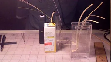 A lucrat 5 ani si a renuntat la liceu ca sa faca ASTA! Ce a realizat un baiat dintr-o cutie de carton