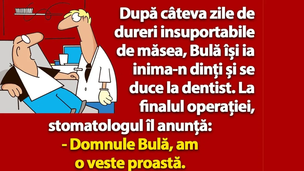 BANC | Bulă își ia inima-n dinți și se duce la dentist