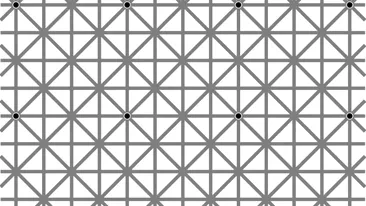 Iluzia optică ce a păcălit 2 milioane de oameni. Câte puncte negre vedeţi în imagine?
