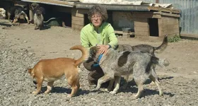 Galerie foto - poza 1