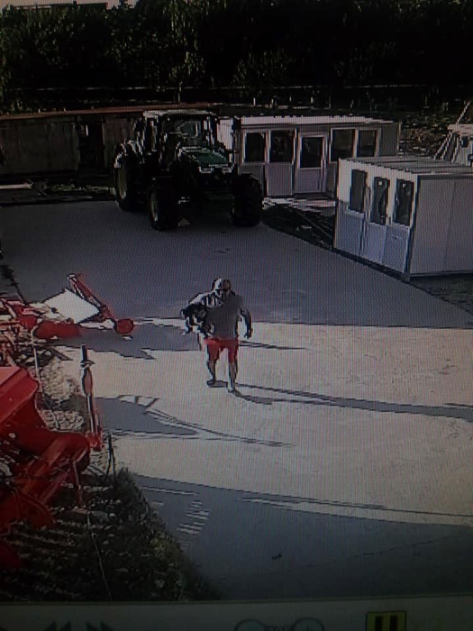 Păgubiții speră ca bărbatul care a plecat cu câinele lor să fie recunoscut și dat pe mâna poliției