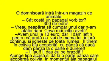 BANCUL ZILEI | Cât costă un papagal vorbitor? 300 de euro