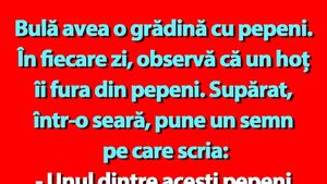 BANC | Bulă avea o grădină cu pepeni
